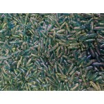 Oval 11mm x 4mm